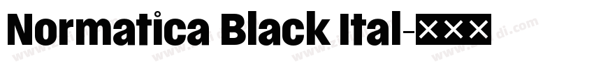 Normatica Black Ital字体转换